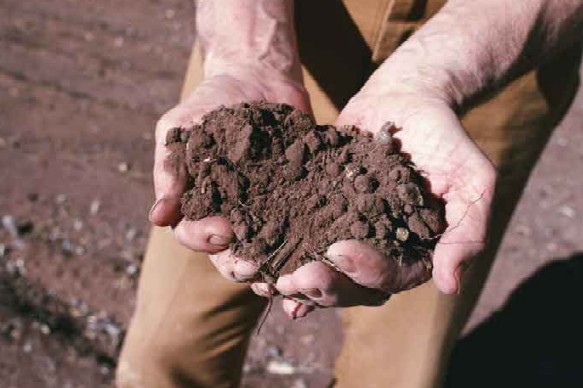 Coldiretti propone un corso per diventare "imprenditore agricolo professionale"