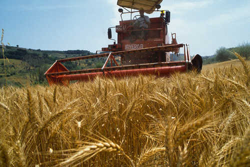 La Regione riconosce il Distretto agroalimentare Toscana sud