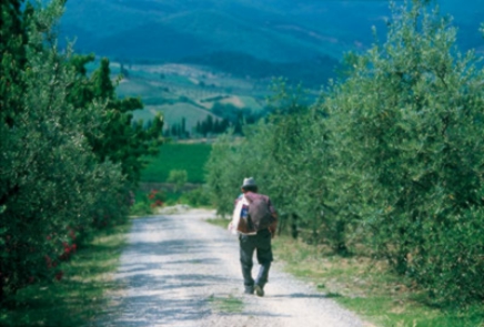 Quattro giorni di festa a Montisi. Nel nome dell’olio nuovo