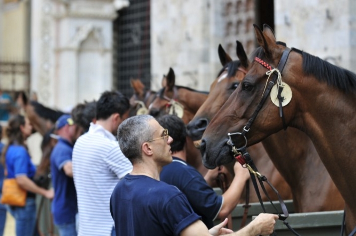 Ceccuzzi ha incontrato i proprietari dei cavalli iscritti all’Albo