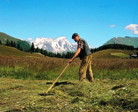 I produttori di Campagna Amica a confronto sul Pif