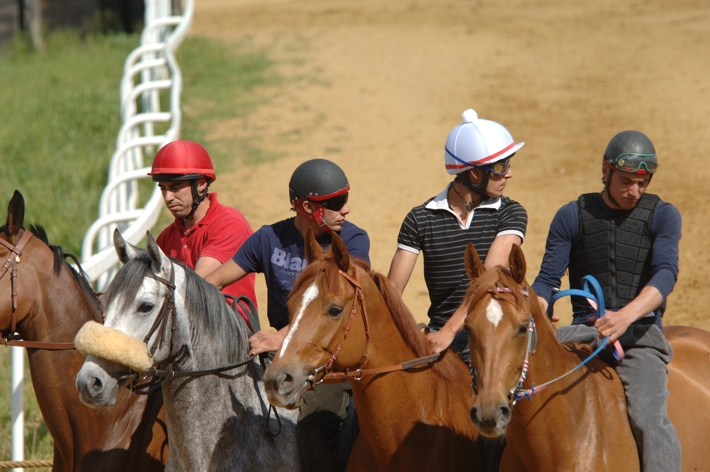 Palio: l’elenco dei cavalli ammessi all’albo protocollo incentivi 2012