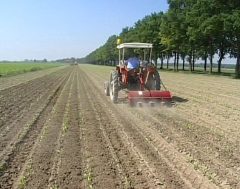 Sicurezza sul lavoro: incontri a Siena promossi dall’Upa