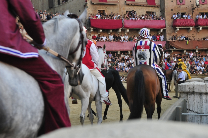 Palio: l’ordinanza del sindaco per previsita, addestramento e presentazione dei cavalli