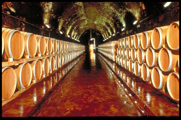 Passeggiando tra le cantine: un tour enogastronomico di 8 km