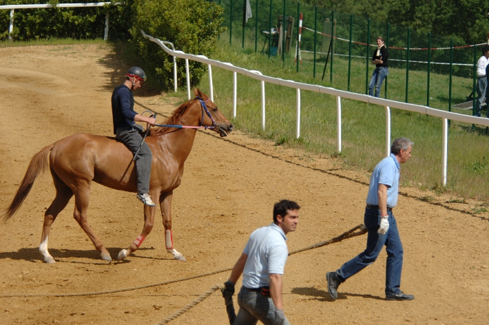 Cavalli in pista a Mociano per l’addestramento