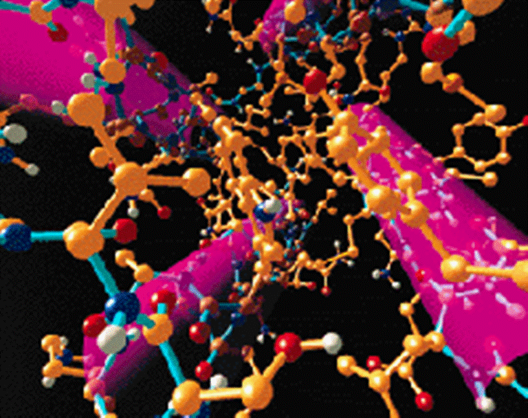 "From Genome to Proteome: 300 studiosi riuniti a Siena