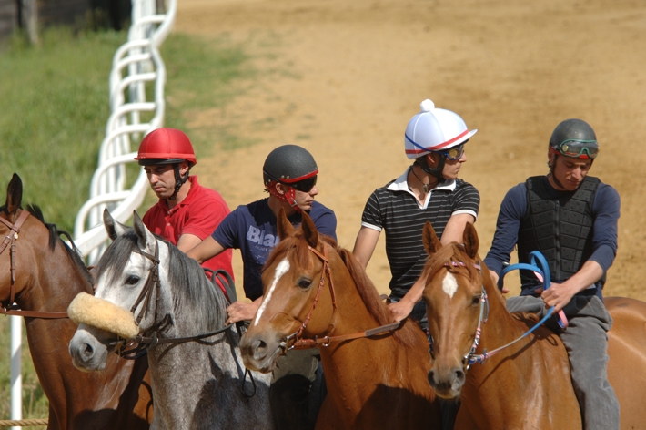 Palio: a Mociano giornata di addestramento