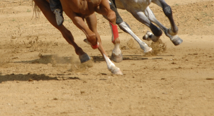 Palio: corse di addestramento a Monticiano