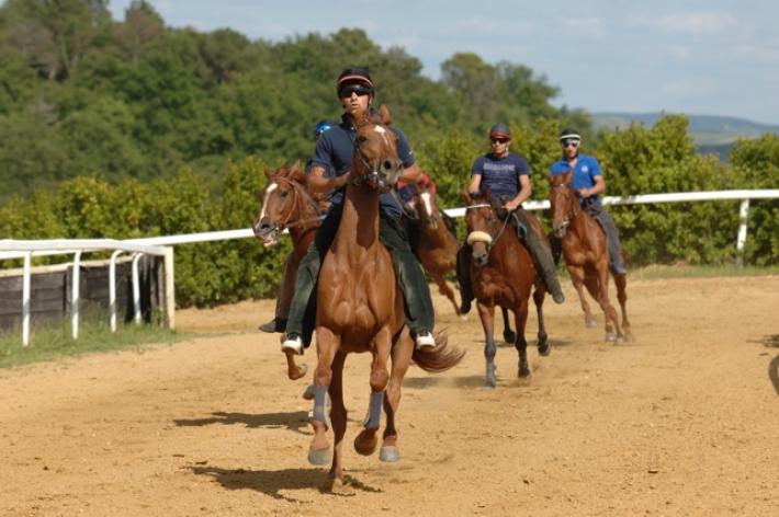 “Cavalli da Palio: quali alternative alla pista di Mociano?”