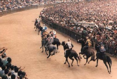 Sono 101 i cavalli sottoposti alle previsite per il Palio di luglio