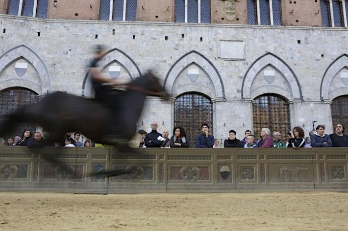 Palio: i cavalli ammessi alla Tratta