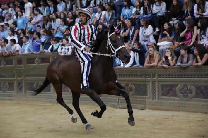 L’Istrice con Naikè vince la prima prova