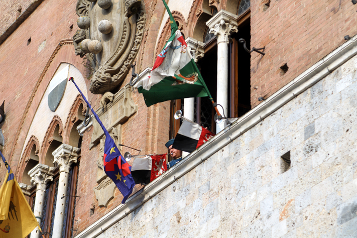 Per agosto la sorte sceglie Onda, Tartuca e Selva