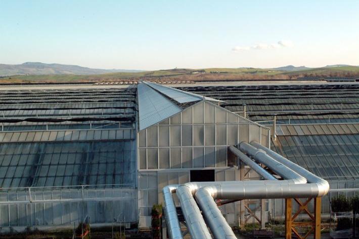 Enel e Floramiata sviluppano la filiera agricola geotermica