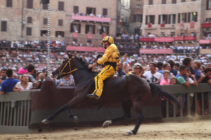 Terza prova all’Aquila. L’Oca non corre