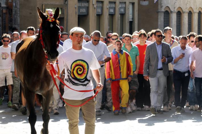 Frattura all’anteriore destro per Phalena