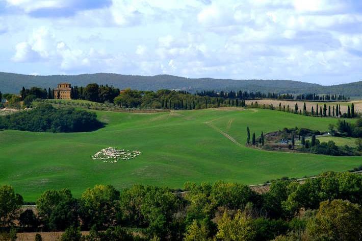 Terre Regionali Toscane assume personale a Suvignano