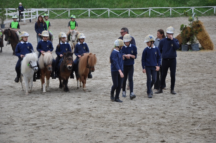 Ponyadi 2013: il Club Ippico Senese è bronzo