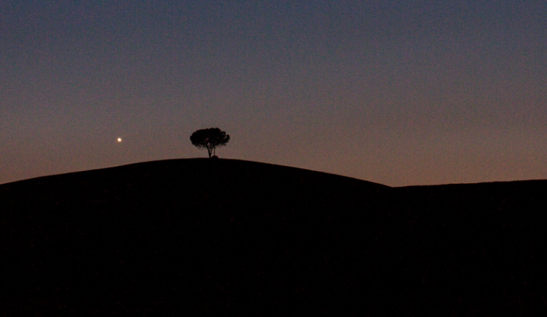 Arte nell’Orto 2013: la terza serata
