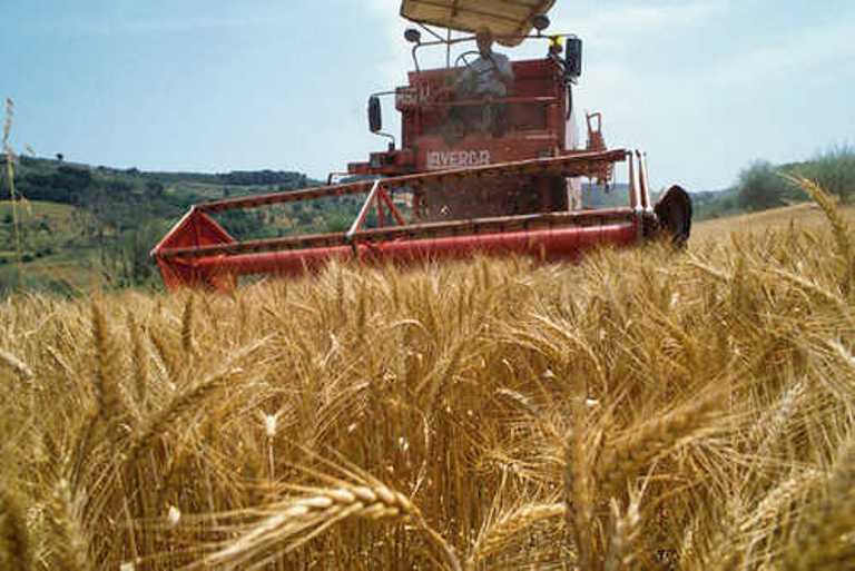 Diversificazione delle aziende agricole: in arrivo bando da 5,4 milioni