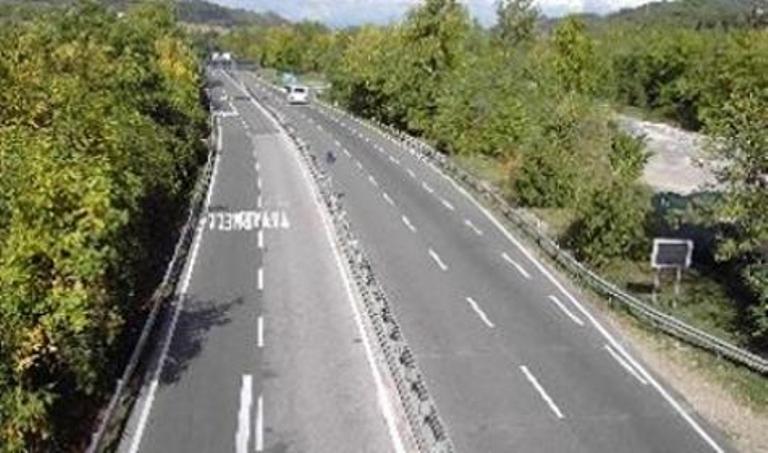 Incidente sul’Autopalio provocato dalla caduta di un albero