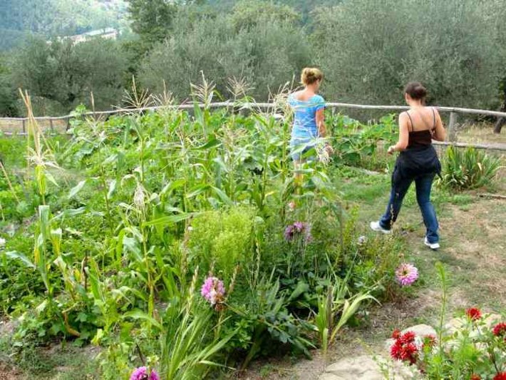 Coldiretti: “Gli agriturismi sono tornati ai livelli pre-Covid”