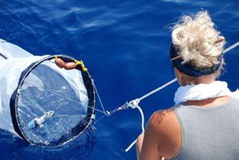 Plastic Buster Unisi in azione a Marina di Pisa