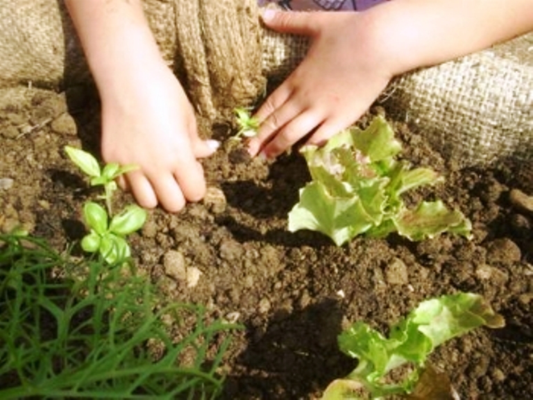 Ricerca e innovazione per creare lavoro nel Mediterraneo. Agricoltura al centro