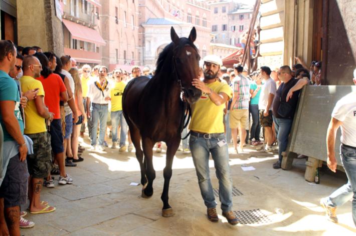 Canti offensivi nelle Contrade: l’ordinanza “fantasma” esiste