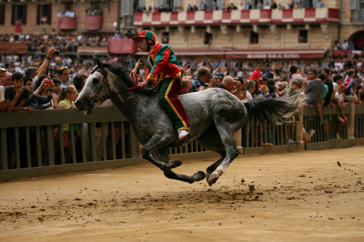 Palio del 2 luglio: 64 cavalli ammessi alle prove regolamentate