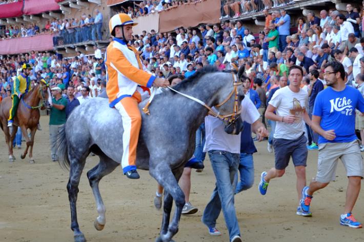 Palio: il Leocorno vince la terza prova