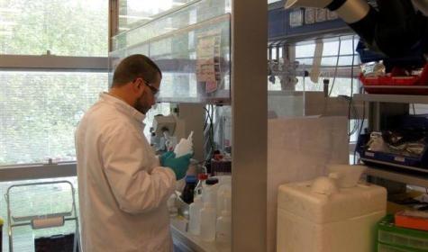 Scuola, scienza e impresa s’incontrano a Siena Biotech