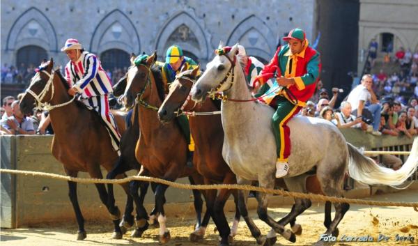 Quarta prova: infortunio al cavallo della Chiocciola