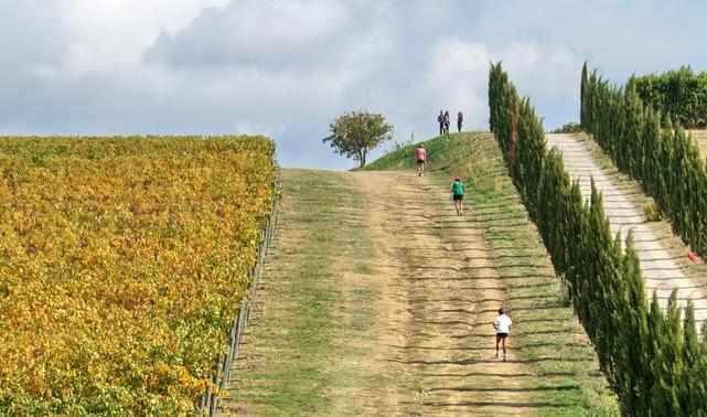 Ecomaratona del Chianti: già al lavoro gli organizzatori