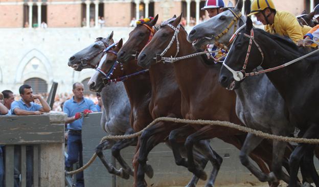 Palio: le prime indicazioni sulle monte