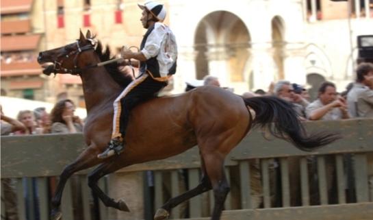 La Lupa si aggiudica la prova generale