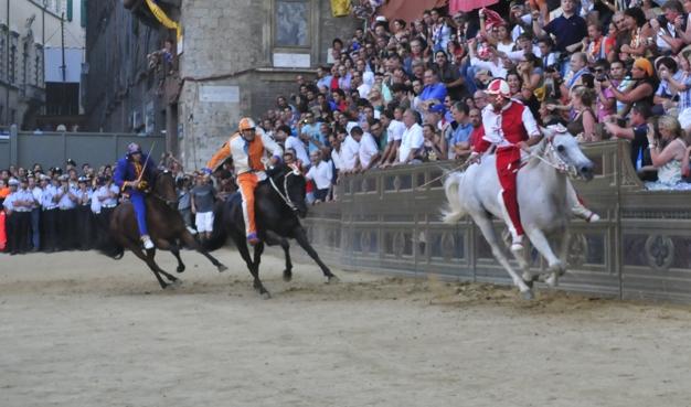 I cavalli da Palio protagonisti alla Fattoria in Fortezza