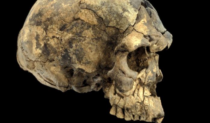 Homo sapiens: uno studio anticipa la data dell’arrivo in Europa