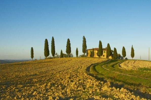 Coldiretti: “La Toscana prima in Italia per ospitalità rurale”