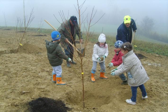 100 nuovi alberi piantati grazie a Legambiente e Orto botanico
