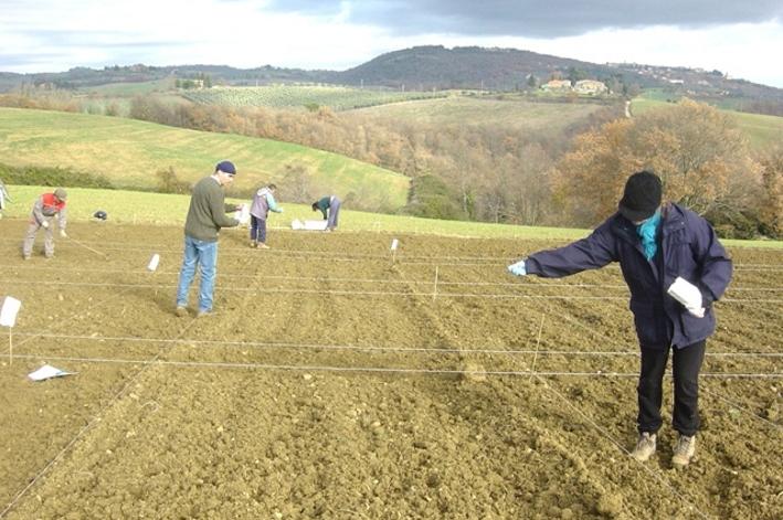 "Dal grano al pane": i primi risultati del progetto "di recupero"