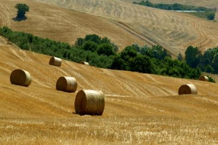 Imu agricola: i “primi cittadini” si uniscono per trovare una soluzione