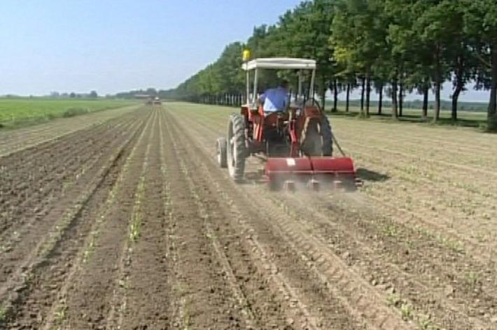 Un corso per la sicurezza nel lavoro agricolo