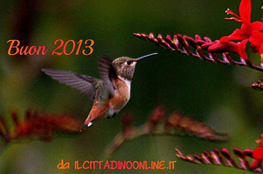 2013: siamo, siate dei colibrì!