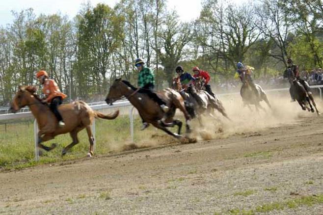 Palio: lavori di addestramento a Monticiano