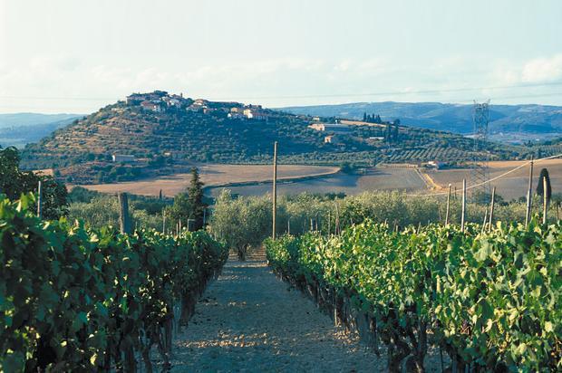 Nota di Nogesi sulla zonazione in Toscana