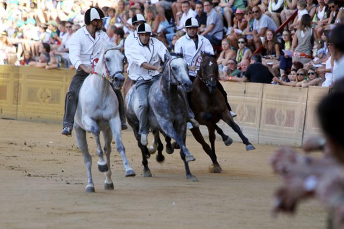 Palio: dal 24 febbraio l’iscrizione all’albo dei proprietari