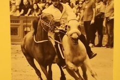 il cavallo degli artisti magazzini del sale siena (15)