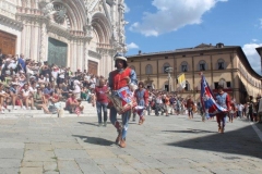 palio 16 agosto 2018 lupa (12)